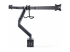 StarTech.com Crossbar Triple Monitor Desk Mount, VESA 75x75/100x100 - Tillbaka